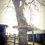 Carrigeen Glamping *