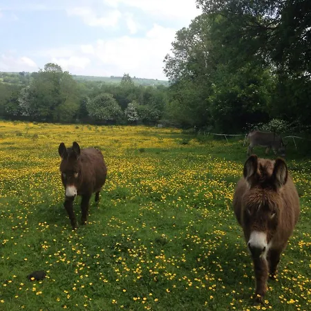 Carrigeen Glamping Kilkenny