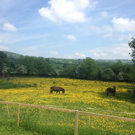 Lodge Carrigeen Glamping