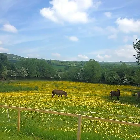 Carrigeen Glamping Lodge Kilkenny