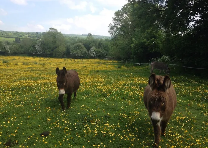 Carrigeen Glamping Kilkenny