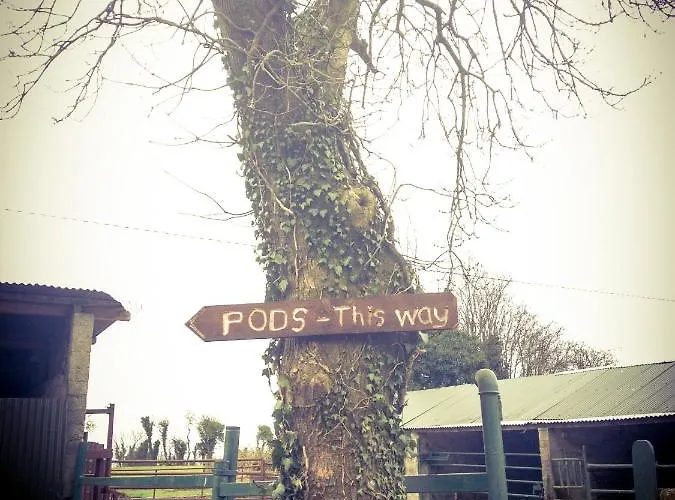 Carrigeen Glamping *