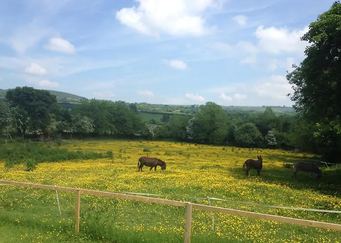 Lodge Carrigeen Glamping
